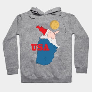 A funny map of the USA Hoodie